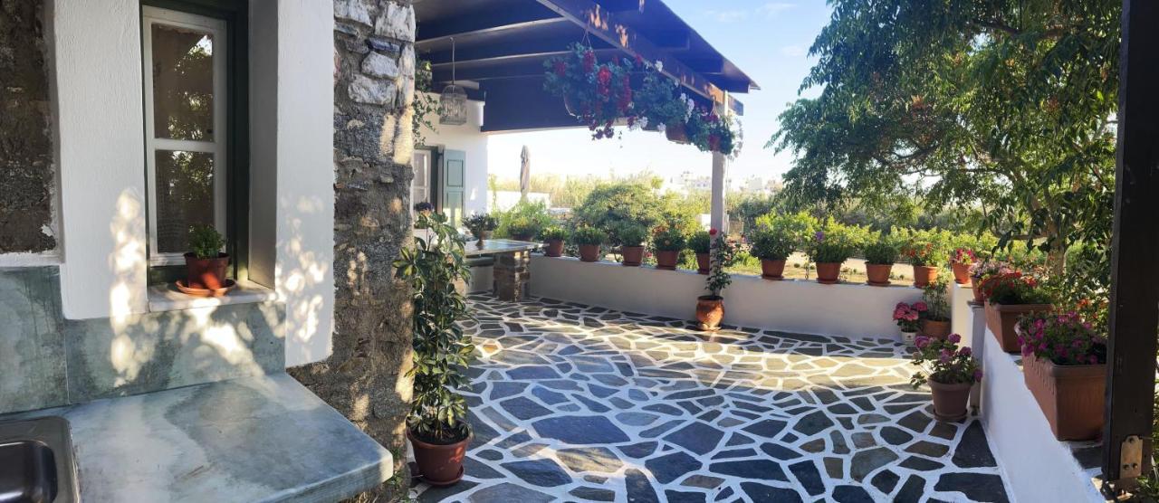 Вилла Ktima Dimitrios Naxos City Экстерьер фото